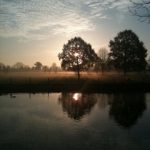 opgaandezonamelisweerd