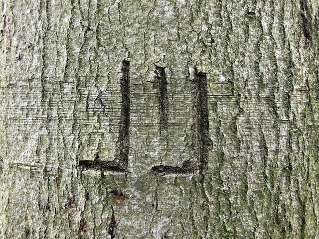 Jij-wandelcoaching-ontdek-je-talent