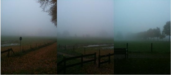 mist_Rhijnauwen
