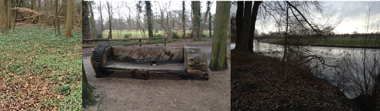 natuur_amelisweerd