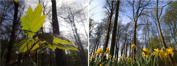 Beter in het Groen 20150423_groen