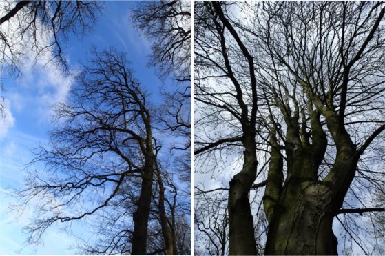 Beter in het Groen 20150423_lucht