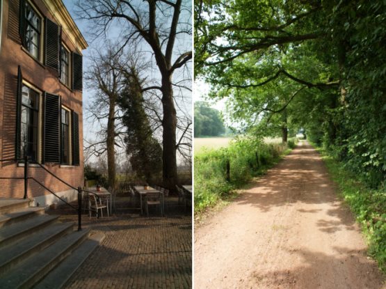 Wandelcoach verhaal 30150331_3pad