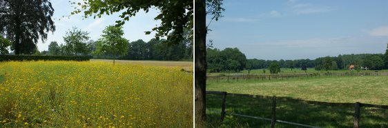 Wandelcoach Marika Jannink in Winterswijk 30150331_3wei