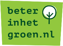 logo bihg_s