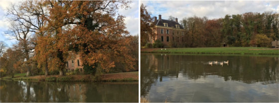 Onzekerheid, werk