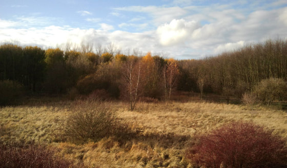Transitie