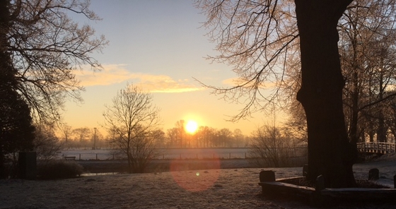 een-zalig-willen-amelisweerd