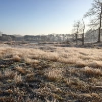 verlangen-naar-eenvoud-hilde-backus-uitgelicht