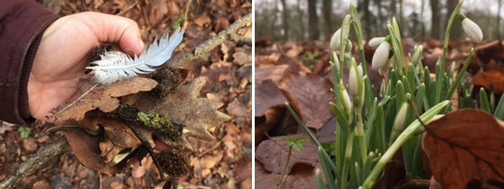 Wandelcoaching werkt! Natuur helpt daarbij wandelcoaching-werkt-huisarts-enthousiast-hilde-backus