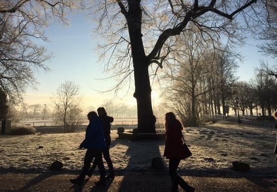 Wandelcoaching werkt wandelcoaching-werkt-huisarts-enthousiast