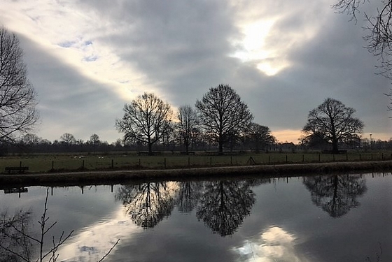 weerspiegeling-wandelcoaching-werkt