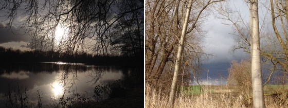 Katleen- Wandelcoaching binnen organisaties kan