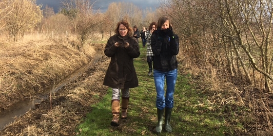 Wandelcoaching binnen organisaties kan Coach Bureau
