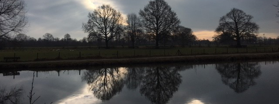 Weerspiegeling Hilde Backus