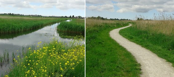 JolandaKluft_hooggevoelig_Wandelcoach_Opleiding