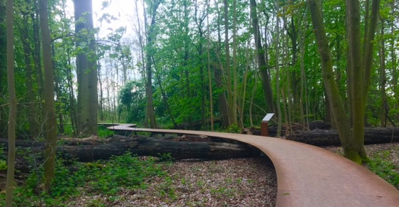 Tjisse_Brookman_afscheid_Wandelcoaching