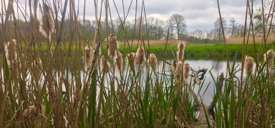 Wandelcoaching_afscheid_Tjisse_Brookman