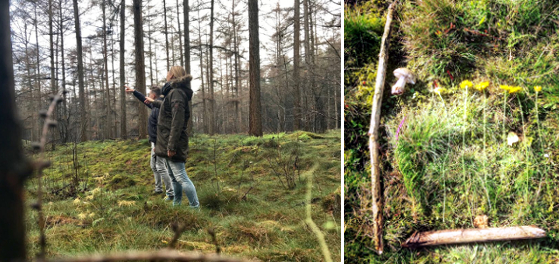Kirsten_Wiltens_Wandelen_suf_saai