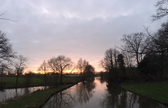 Zelfreflectie-Waarom-eik-geen-beuk_Wa