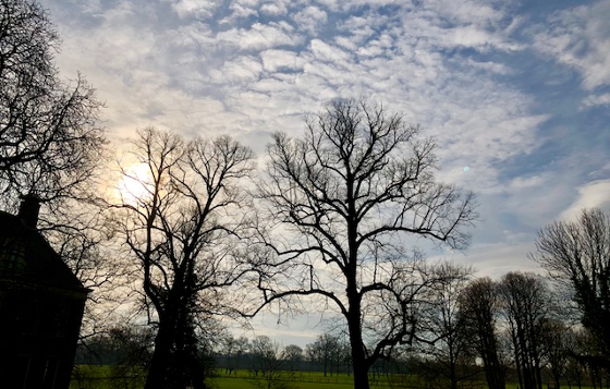 Ga wandelcoachen en neem mee Hilde Backus
