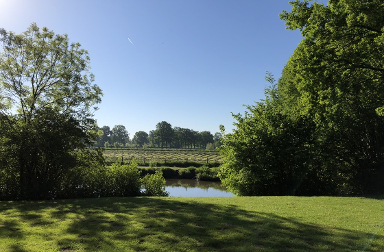 RegisterWandelcoach Opleiding in de natuur