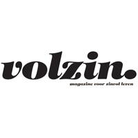 medialogo-volzin