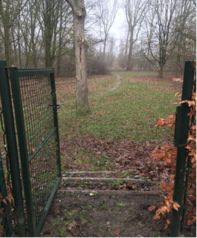 Boom wandelcoach mediator Marieke van den Boogaart