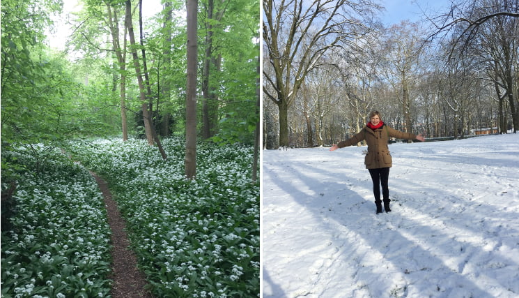 Mieke Buyle Laarbeekbos en Elisabethpark Koekelberg