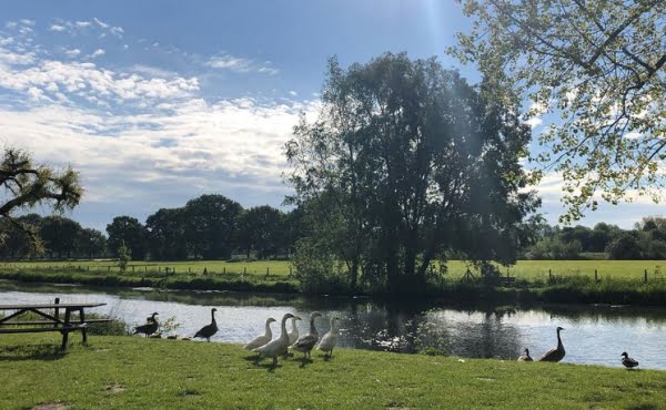 Piekeren-stress-andere-aanpak-natuur