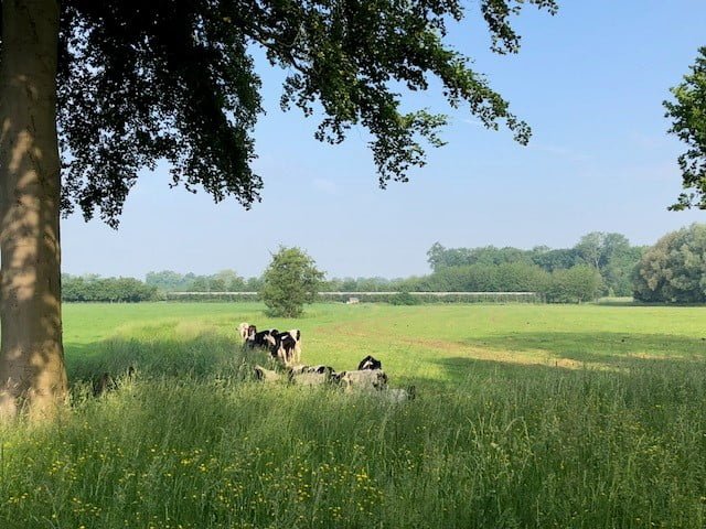 Wandelcoach Opleiding in natuur