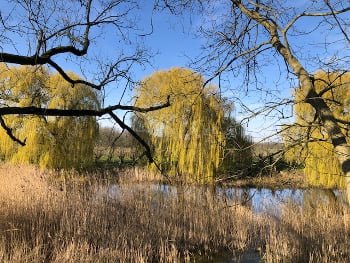 Wandelcoachen Zo loop je door