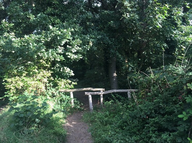 Wandelcoach Claudia Minnes koersgesprekken in de natuur