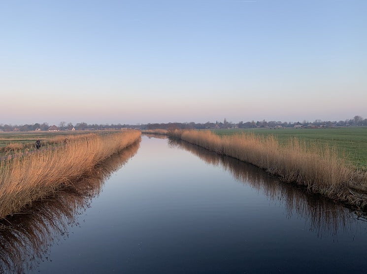 Wandelcoach Claudia Minnes natuur