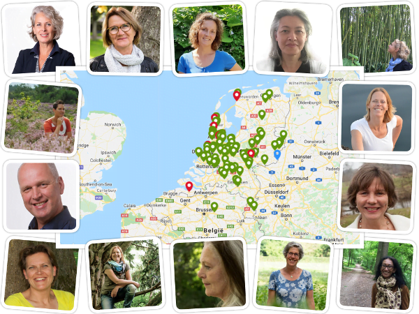 Wandelcoaches Nederland Belgie Het Coach Bureau