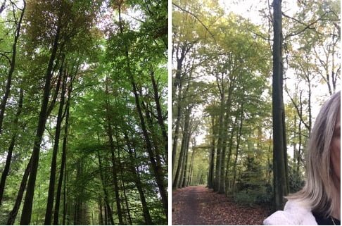 Wanneer moeten weg valt wandelcoach Jacqueline Cock