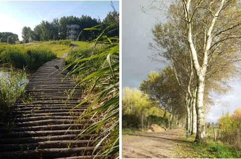Hoe de natuur je een spiegel voorhoudt Brenda