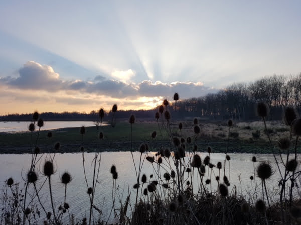 Hoe de natuur je een spiegel voorhoudt: inzicht en keuzes door wandelcoaching