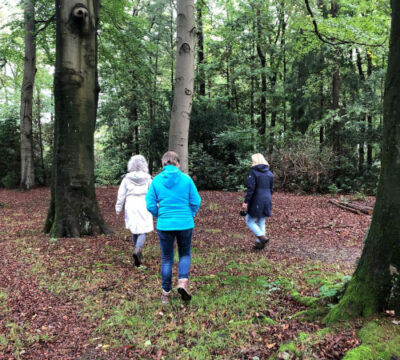 Loopbaan-wandelcoaching bos