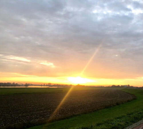 Loopbaan-wandelcoaching buiten