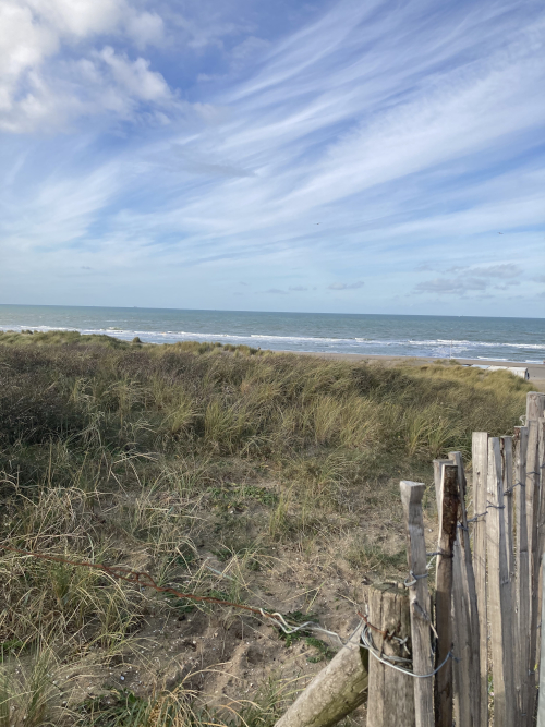 Wandelcoach Annette Bol duinen