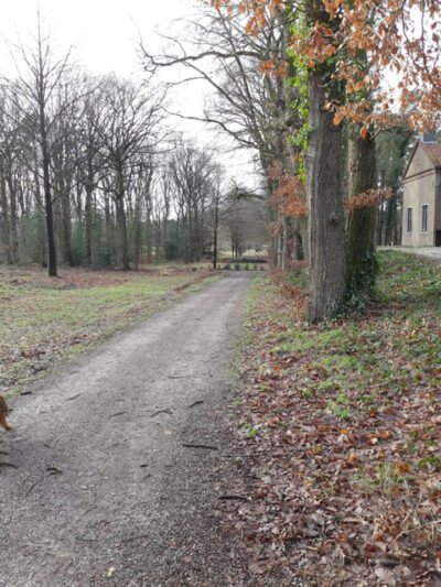 Samen wandelen