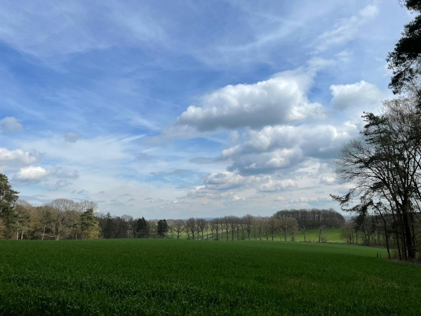 wandelcoachen in de natuur wolkenlucht