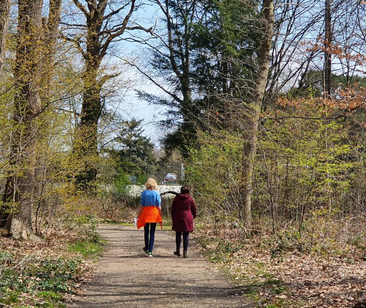 Wandelcoachprogramma Ontdek je Talent