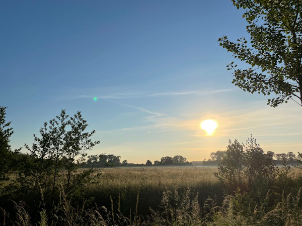 de magie van wandelen in de natuur