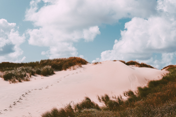 pexels-eric-goverde-3066854-zomer-zonder-stress