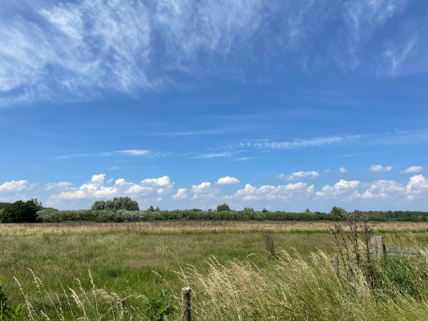 wandelen in de natuur