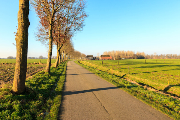 Buitengebied wandelcoaching