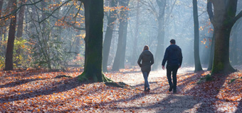 Tweedaagse training Wandelcoaching bij verlies en rouw