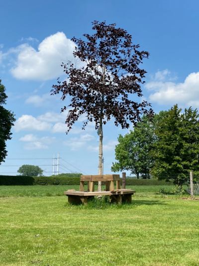 Rode-beuk-Erna-Eskes